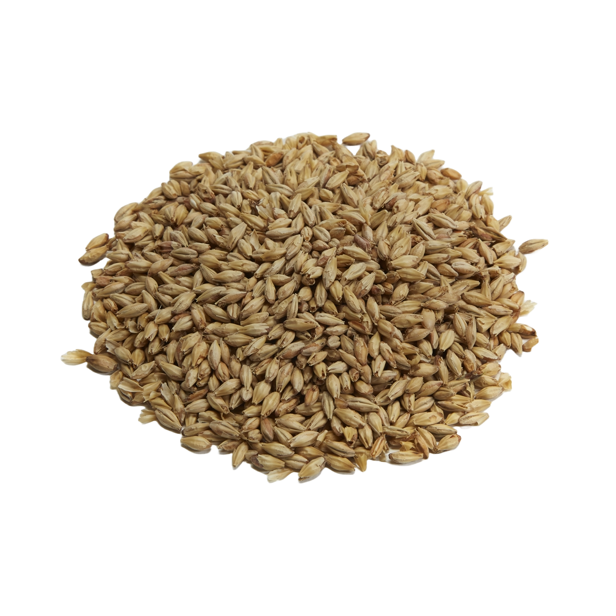 Briess Ashburne Mild Malt