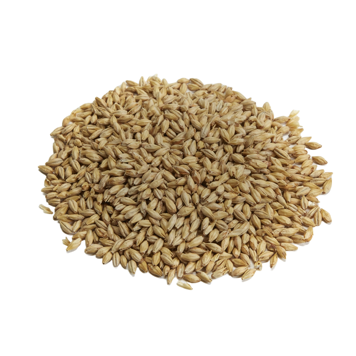 Briess Pale Ale Malt