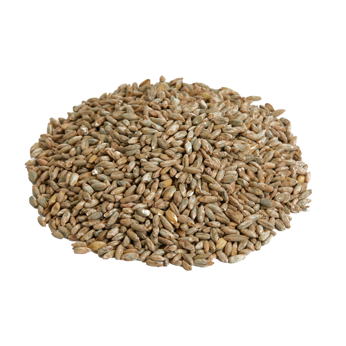 Canada Malting Rye Malt
