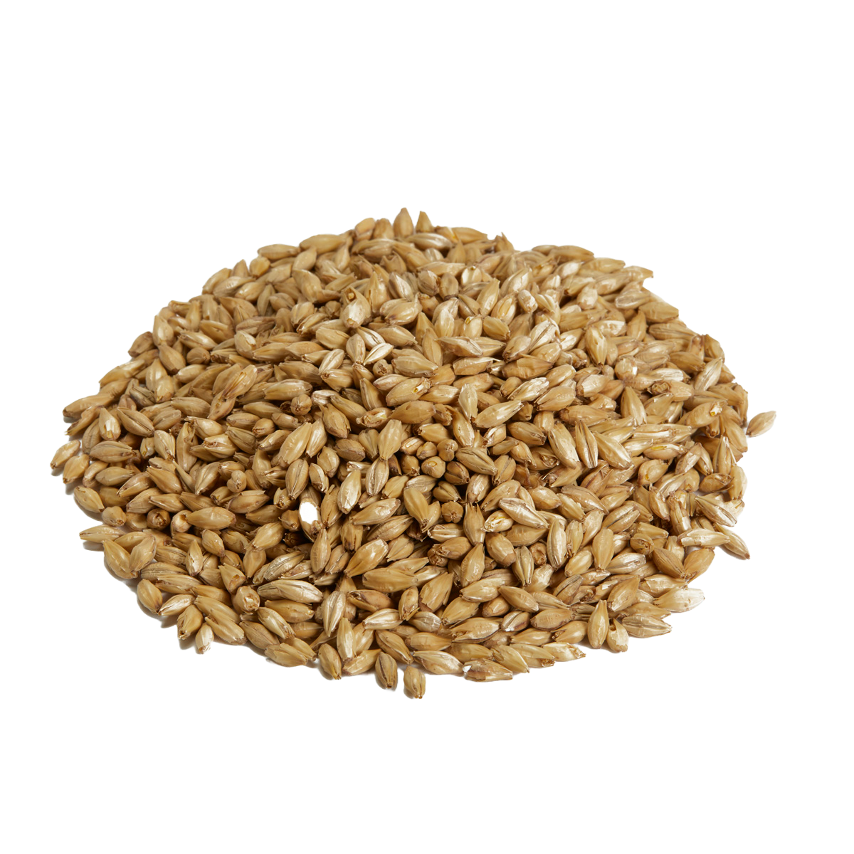 Canada Malting Superior Pilsen Malt
