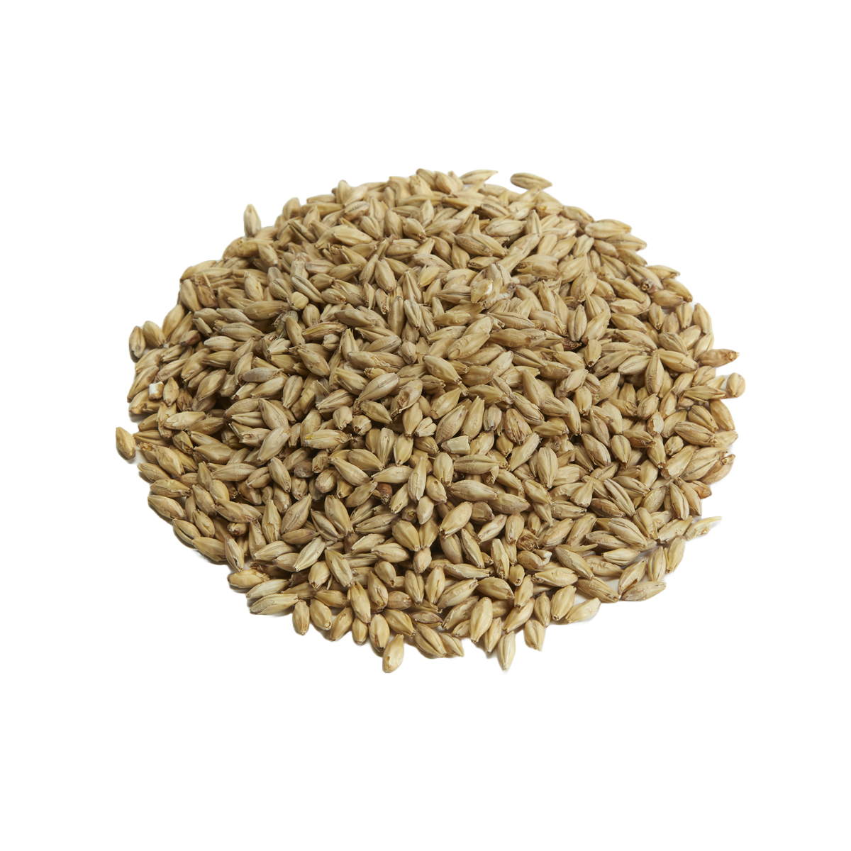 Great Western Premium 2 Row