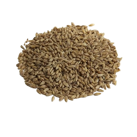 Great Western DextraPils