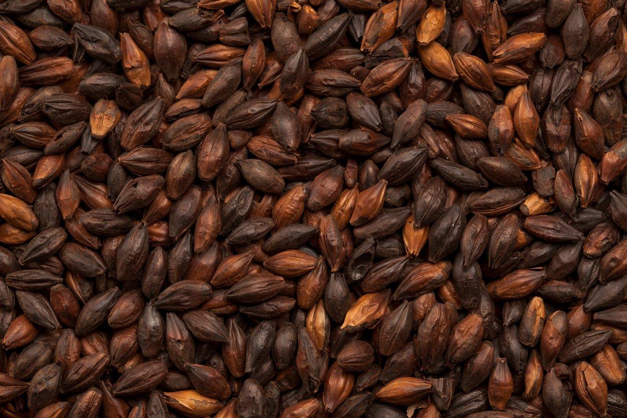 BEST Black Malt eXtra