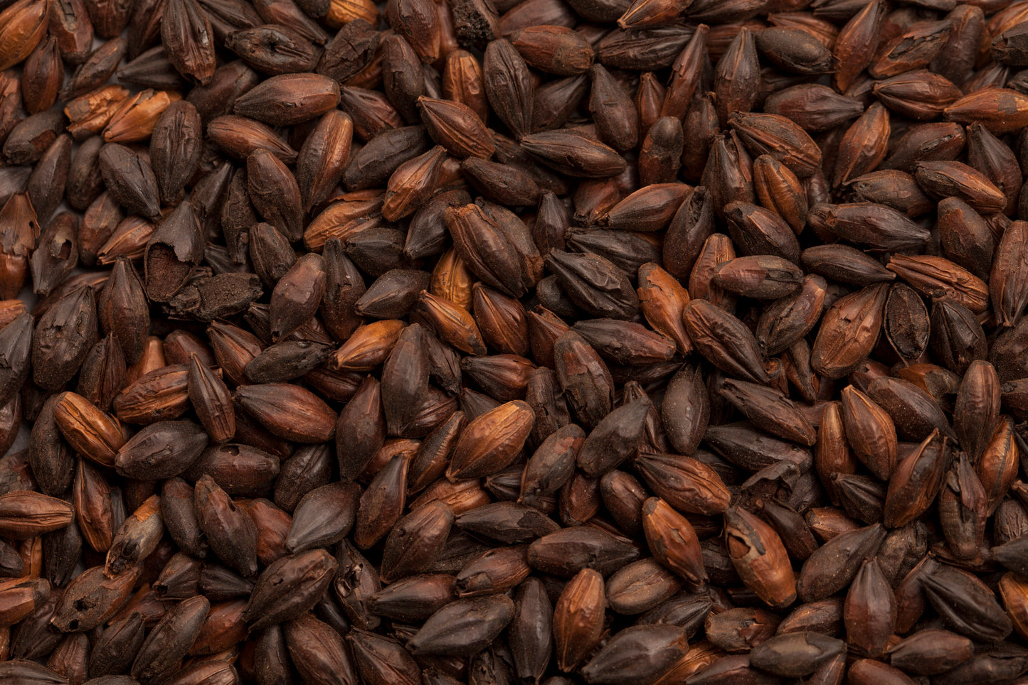 BEST Black Malt