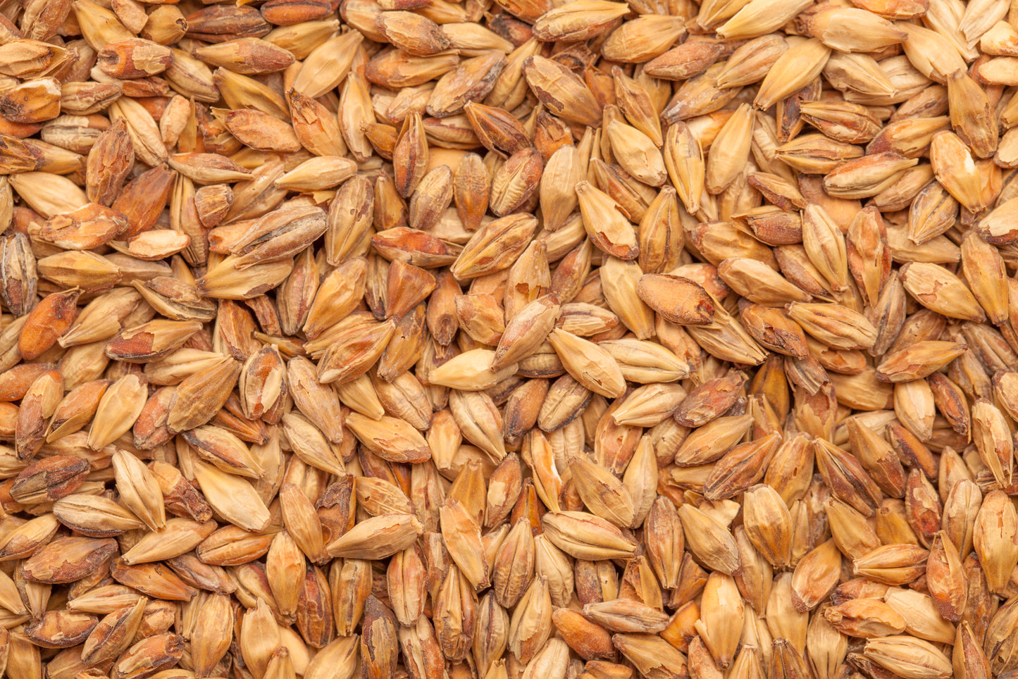 BEST Caramel Munich I