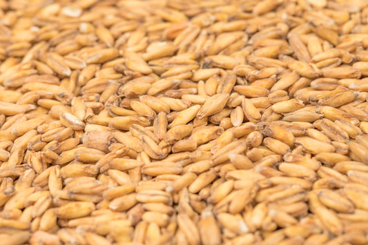 BEST Oat Malt