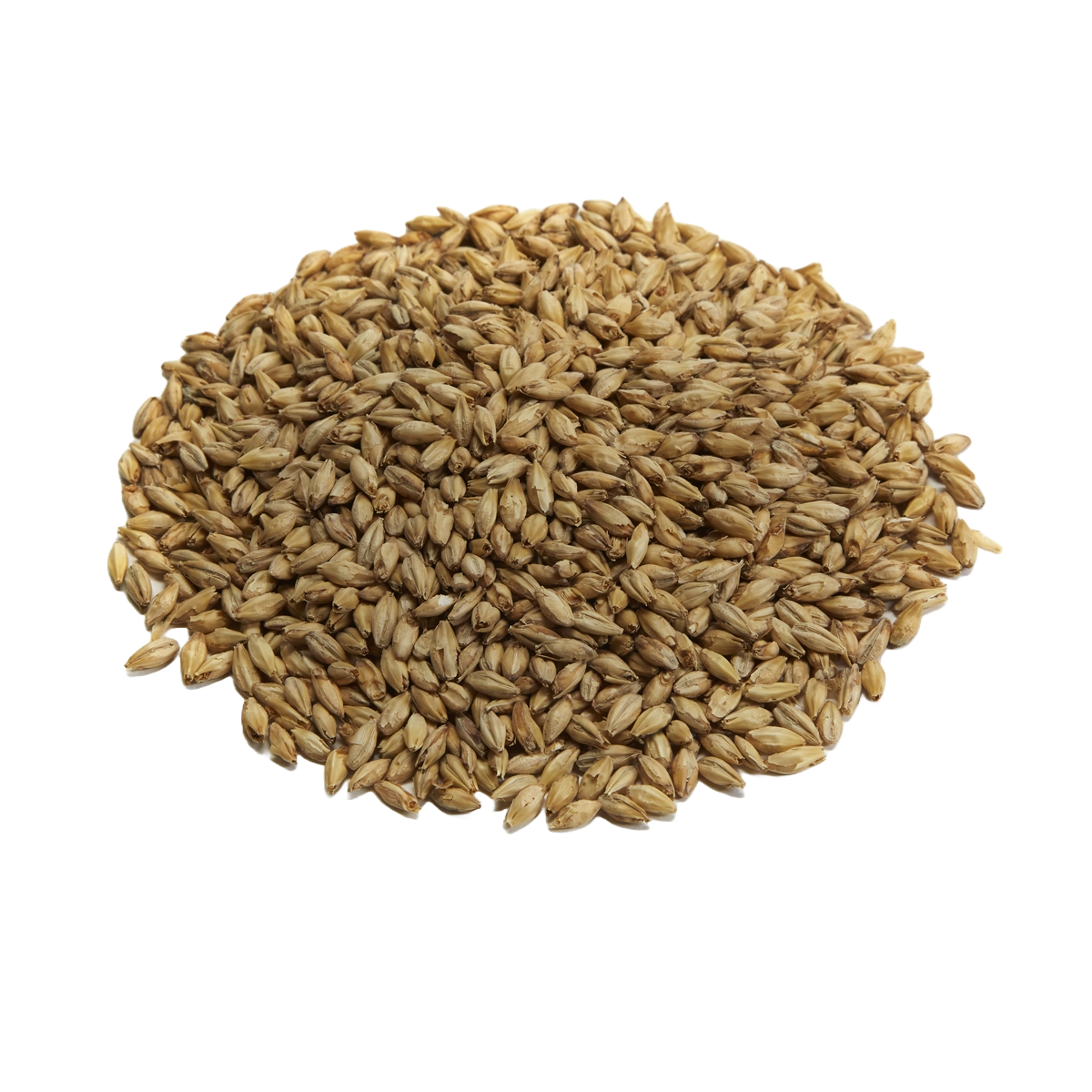 Briess 2 Row Brewers Malt