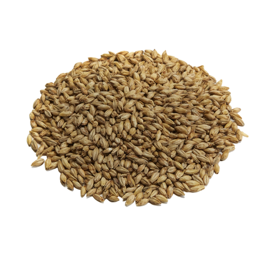 Briess 2 Row Brewers Malt