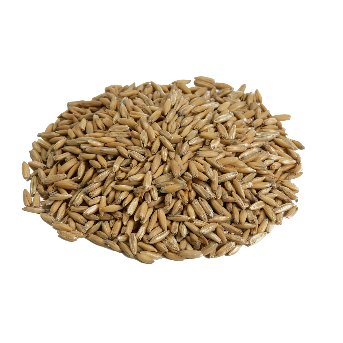 Canada Malting Oat Malt