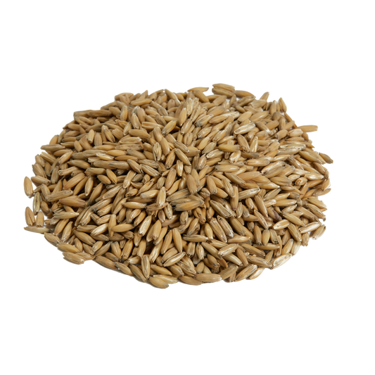Canada Malting Oat Malt