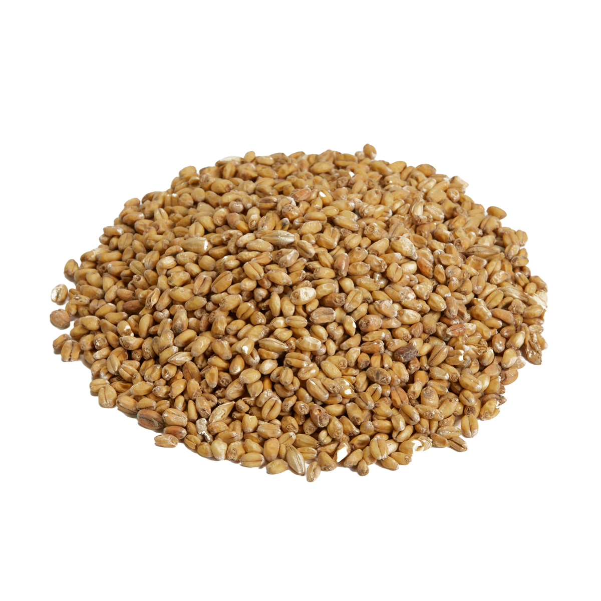 Canada Malting White Wheat Malt