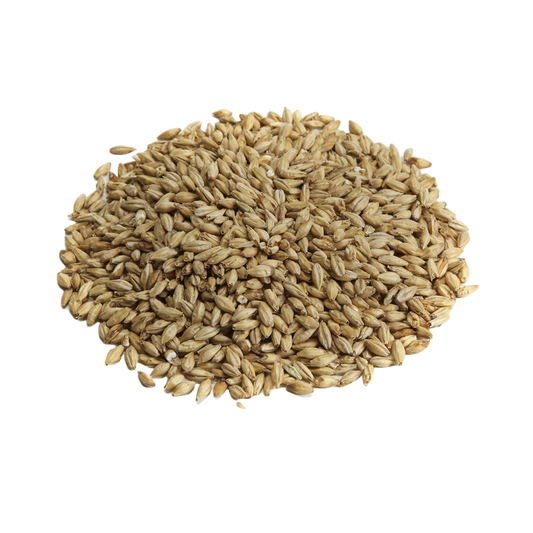 Great Western Pale High Color