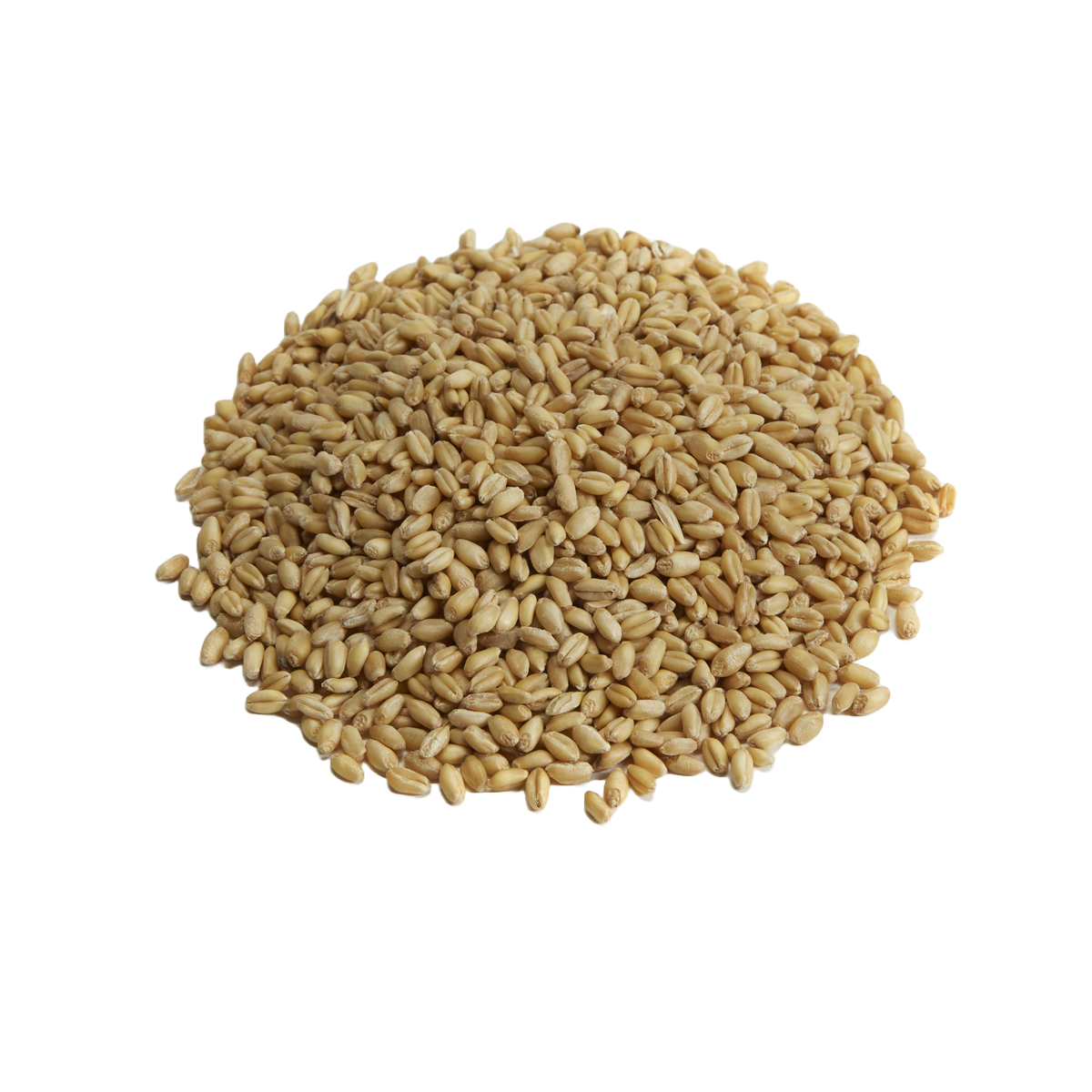 Great Western Unmalted Wheat