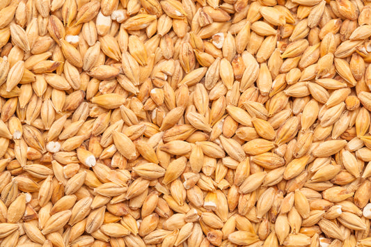 BEST Acidulated Malt