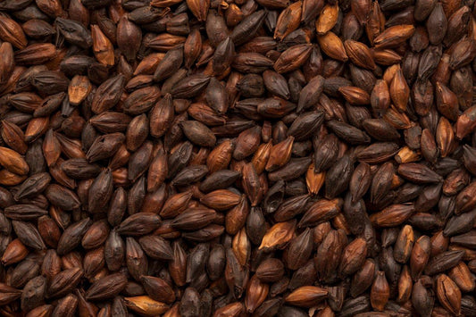 BEST Black Malt eXtra