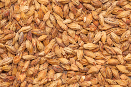 BEST Caramel Munich III