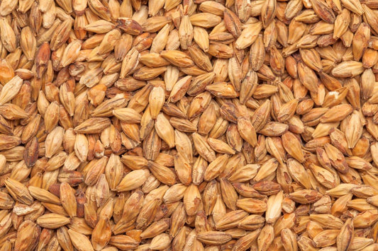 BEST Caramel Munich II