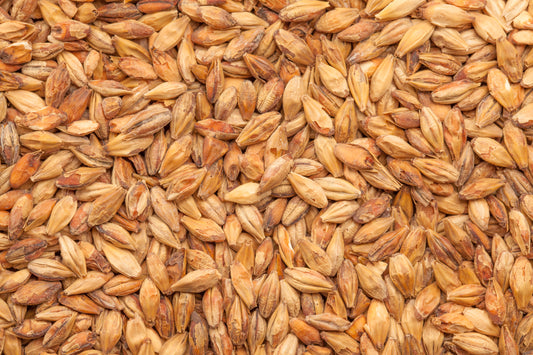 BEST Caramel Munich I