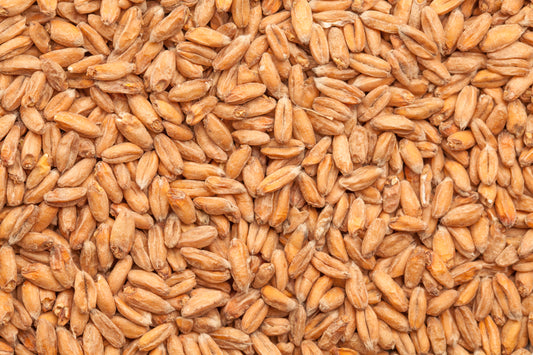 BEST Spelt Malt