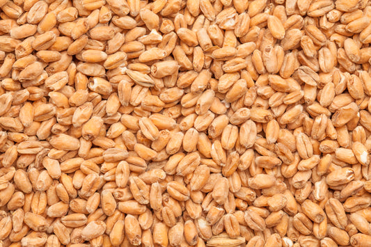 BEST Wheat Malt